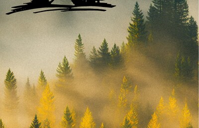 Titelbild: Herbstlicher Wald im Nebel