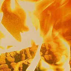 Feuer und Flamme