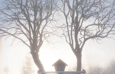 Winter, Wegkreuz zwischen Bäumen im Nebel, dahinter Sonne